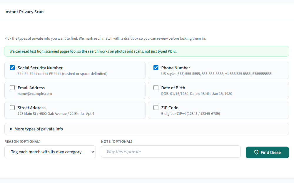 Instant Privacy Scan category checkboxes for SSNs, phone numbers, emails and more.